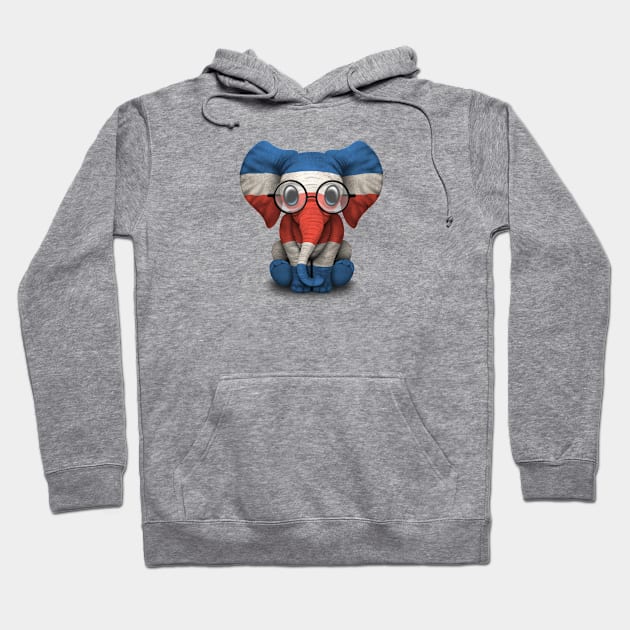 Baby Elephant with Glasses and Costa Rican Flag Hoodie by jeffbartels